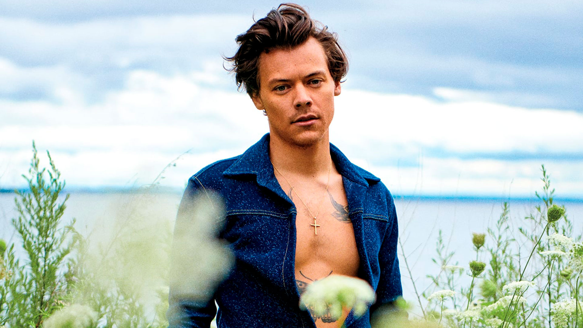 ESTO PASO EN BRASIL CON LA VISITA DE HARRY STYLES ESTO PASO EN BRASIL CON LA VISITA DE HARRY STYLES