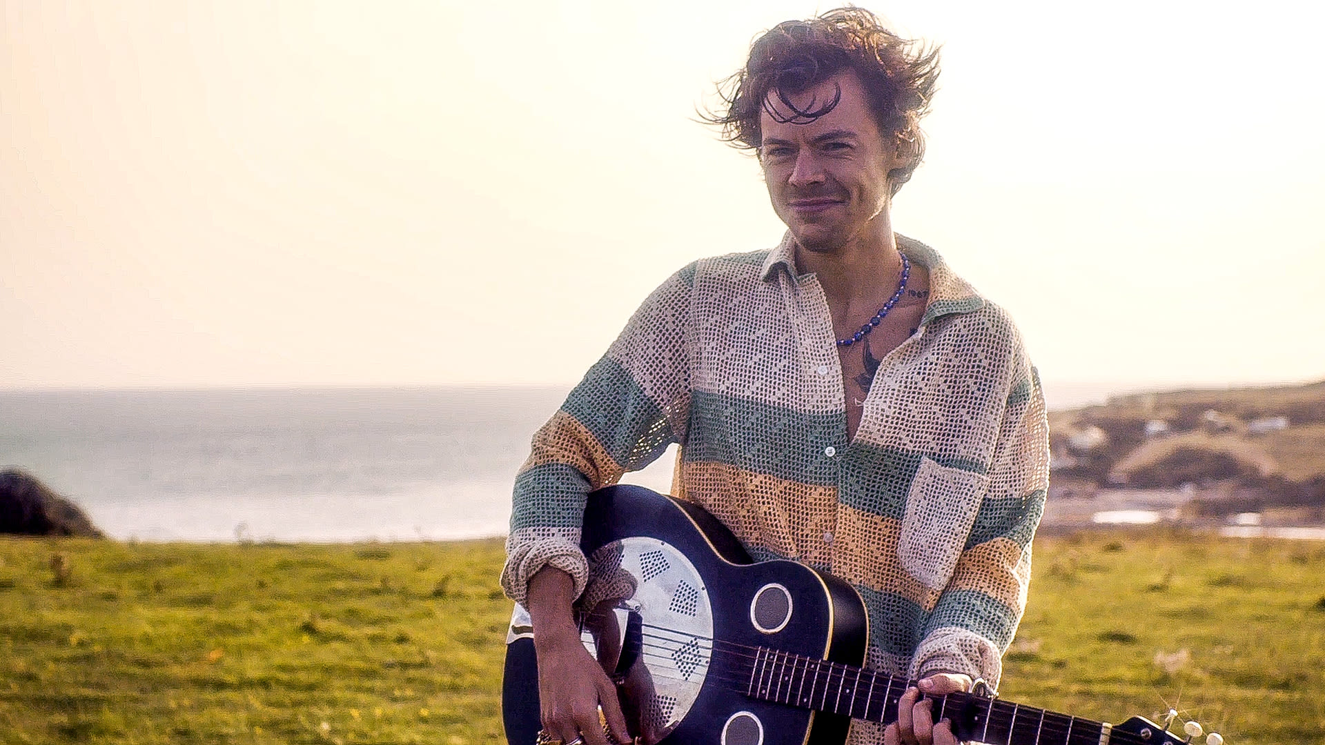 Harry Styles llega a streaming para verlo en concierto!