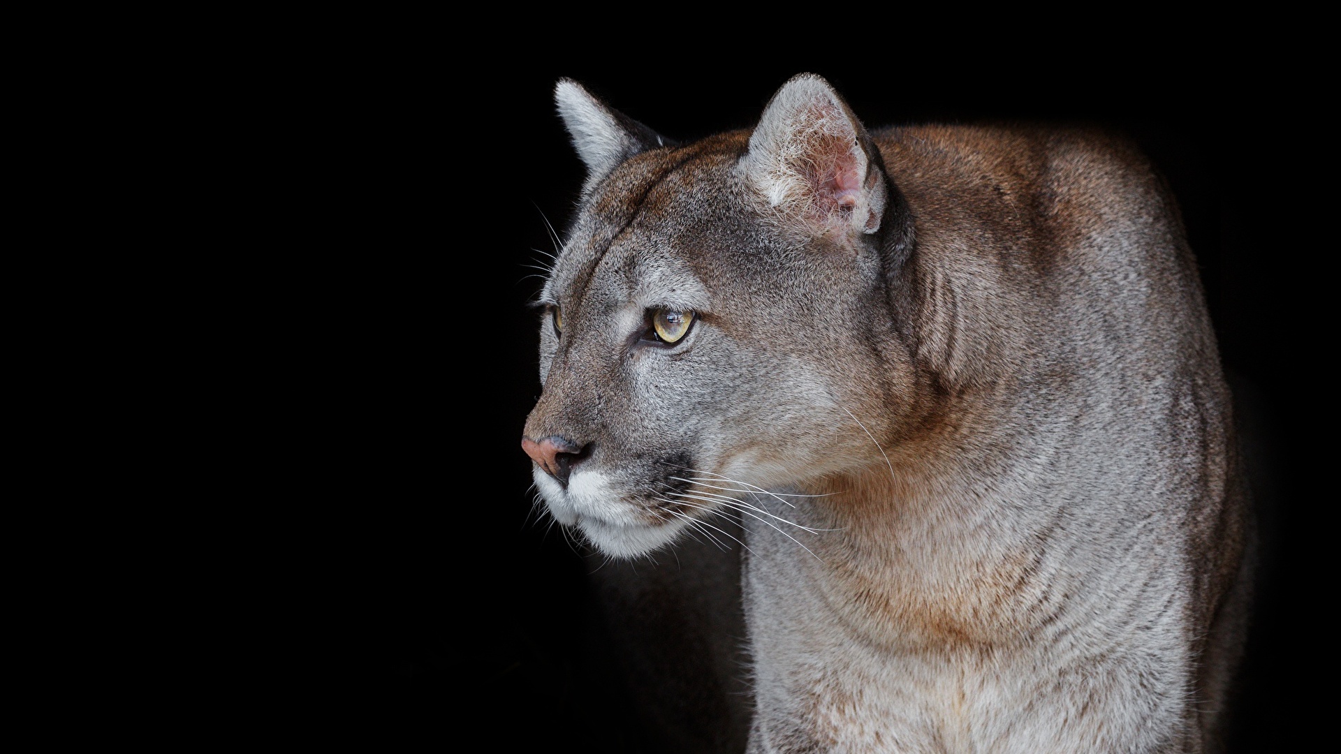 EL ZOOLÓGICO TERMINA FASE 2 DEL CAMINO DE LOS ANDES EL ZOOLÓGICO TERMINA FASE 2 DEL CAMINO DE LOS ANDES