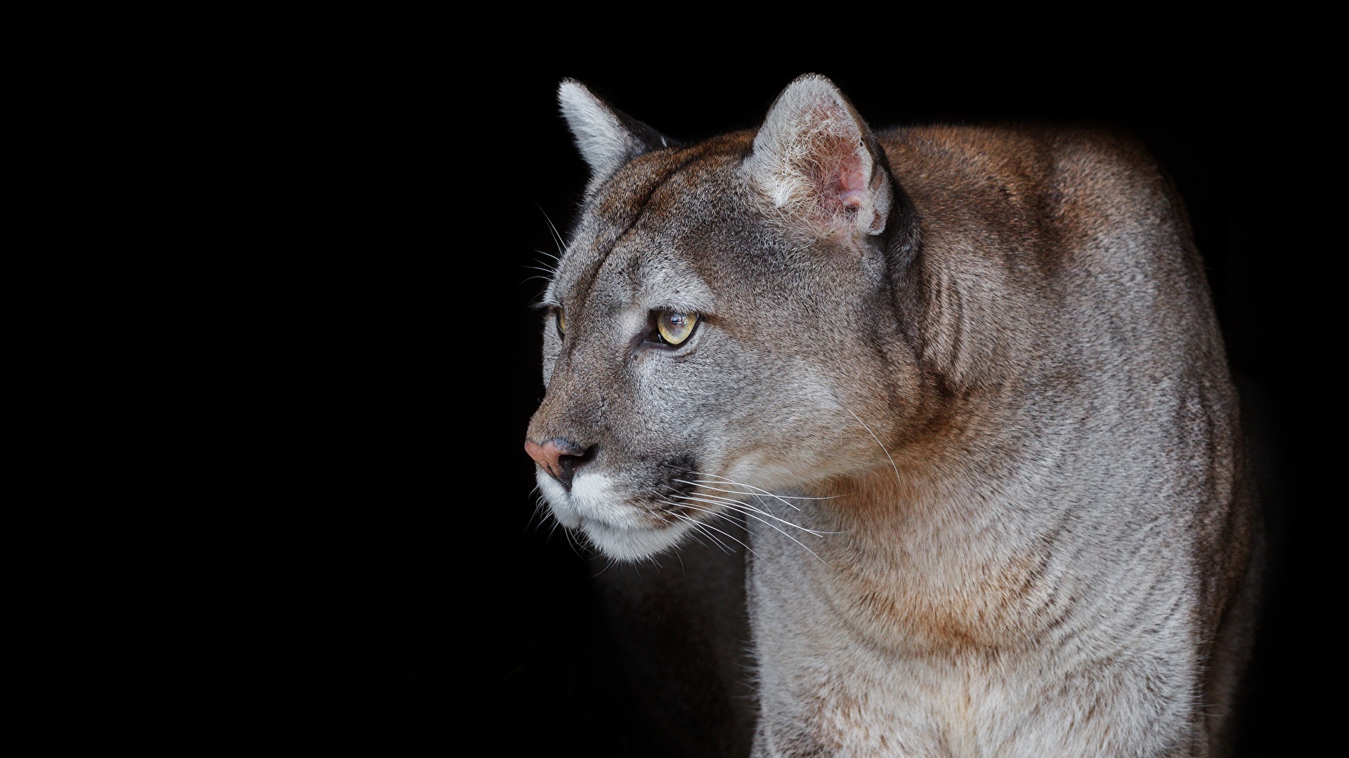 EL ZOOLÓGICO TERMINA FASE 2 DEL CAMINO DE LOS ANDES