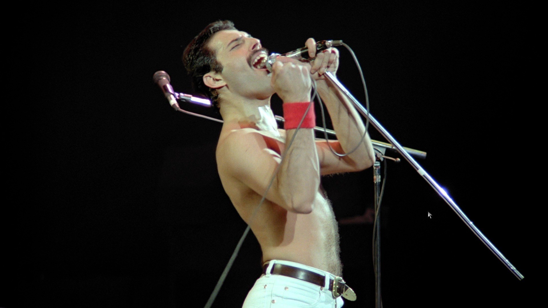 La asombrosa imagen generada por Inteligencia Artificial de Freddie Mercury que causa sensación en las redes sociales La asombrosa imagen generada por Inteligencia Artificial de Freddie Mercury que causa sensación en las redes sociales