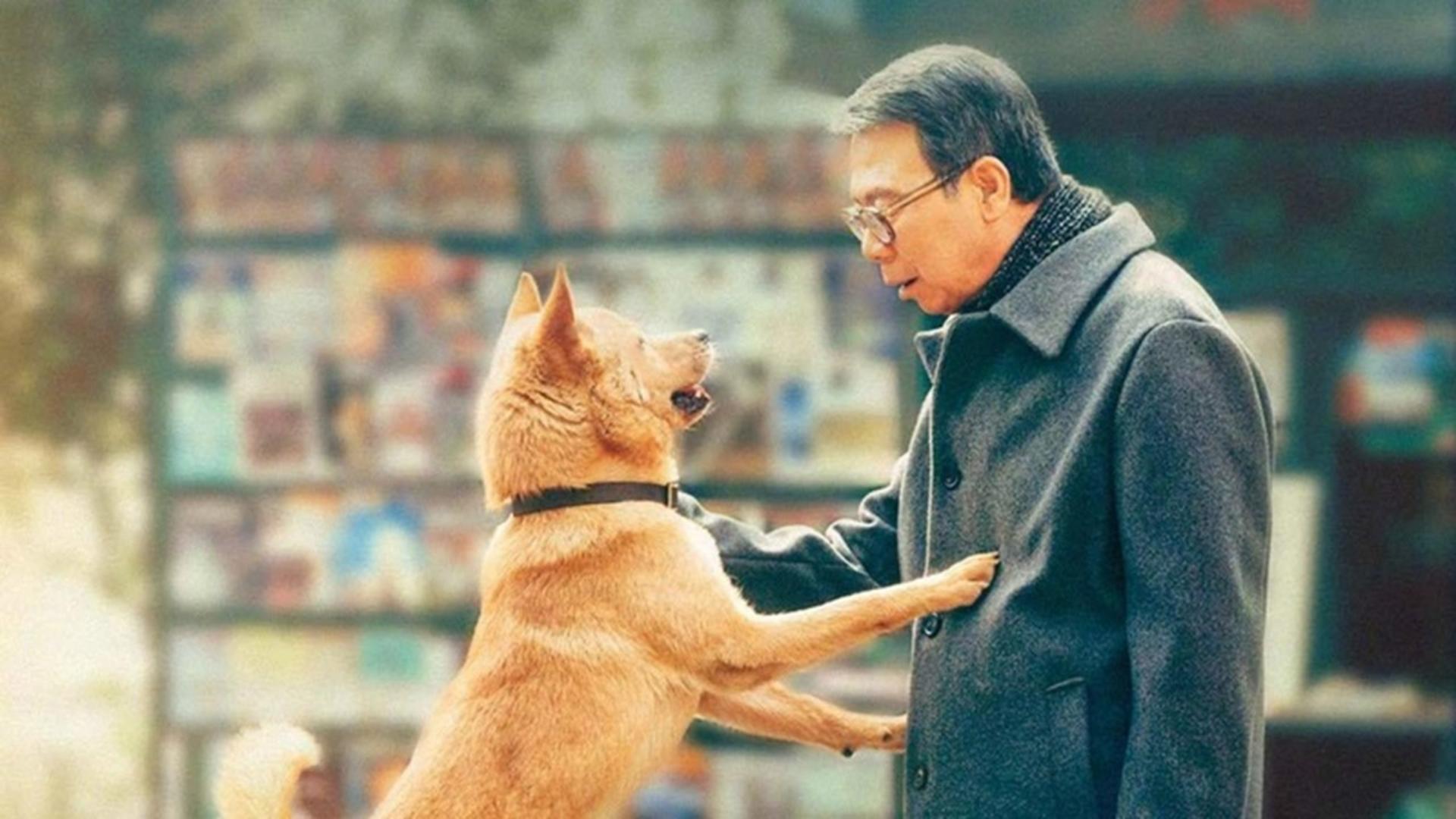 Hachiko 2: La Nueva Película que Conmueve al Mundo Hachiko 2: La Nueva Película que Conmueve al Mundo